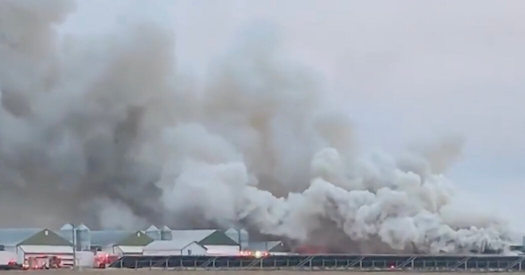 Fire Destroys Ohio Farm Building Holding Thousands of Chickens