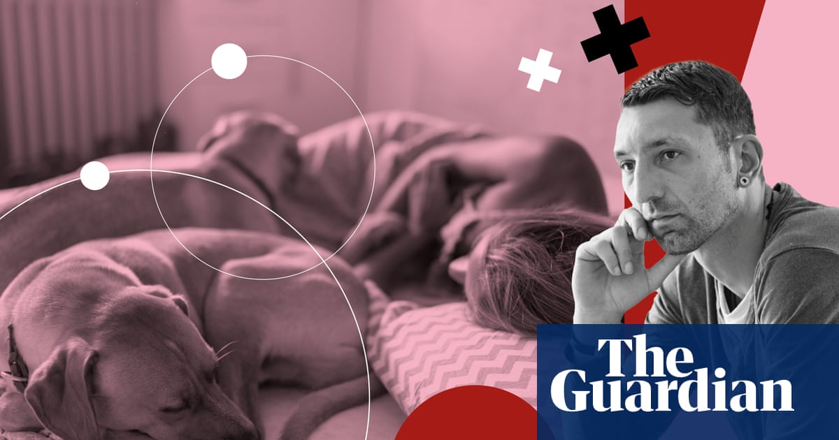 Our four dogs sleep on the bed – so I haven’t had sex with my wife in 10 years | Life and style